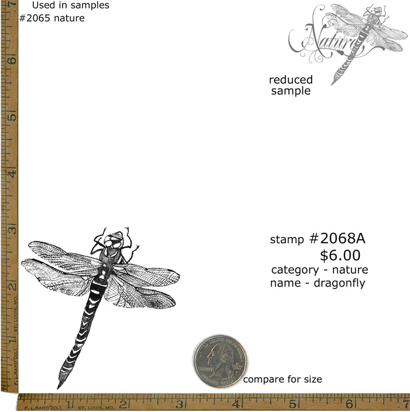 #2068a - Dragonfly - Nature